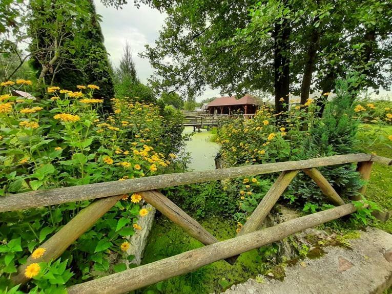 Gospodarstwo Agroturystyczne Pod Lasem Maria Plazio Narol Exteriör bild